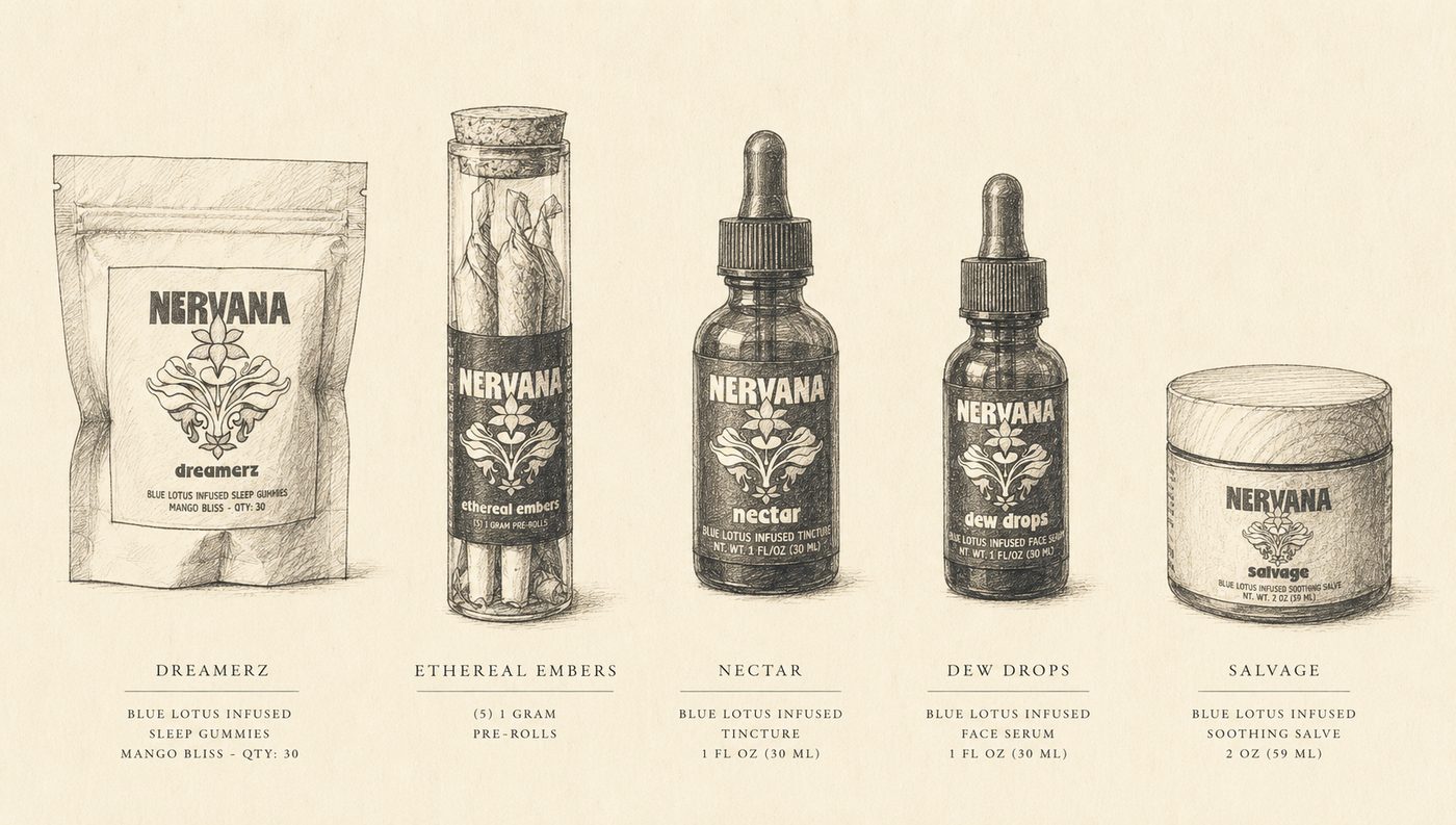 Sketch of the Nervana product lineup