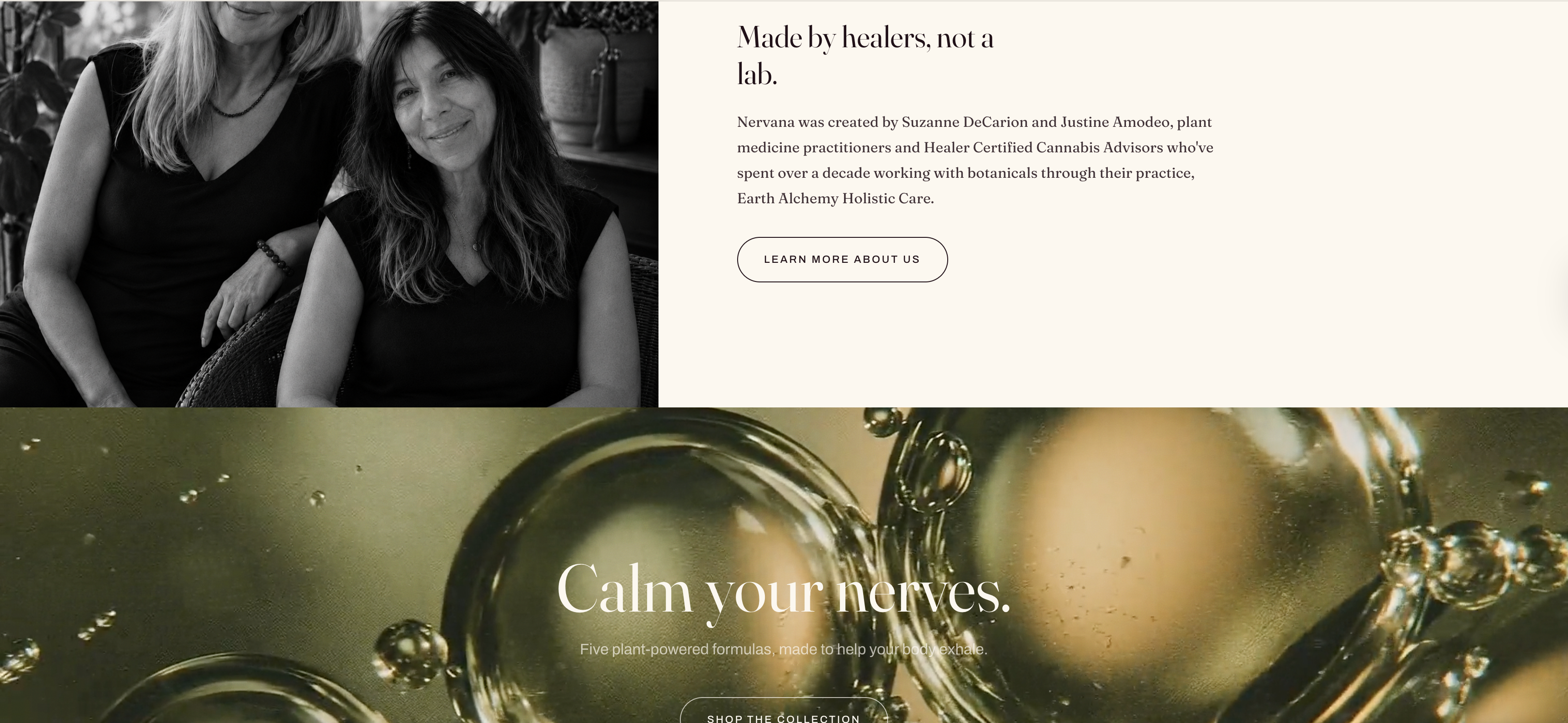 Nervana website section